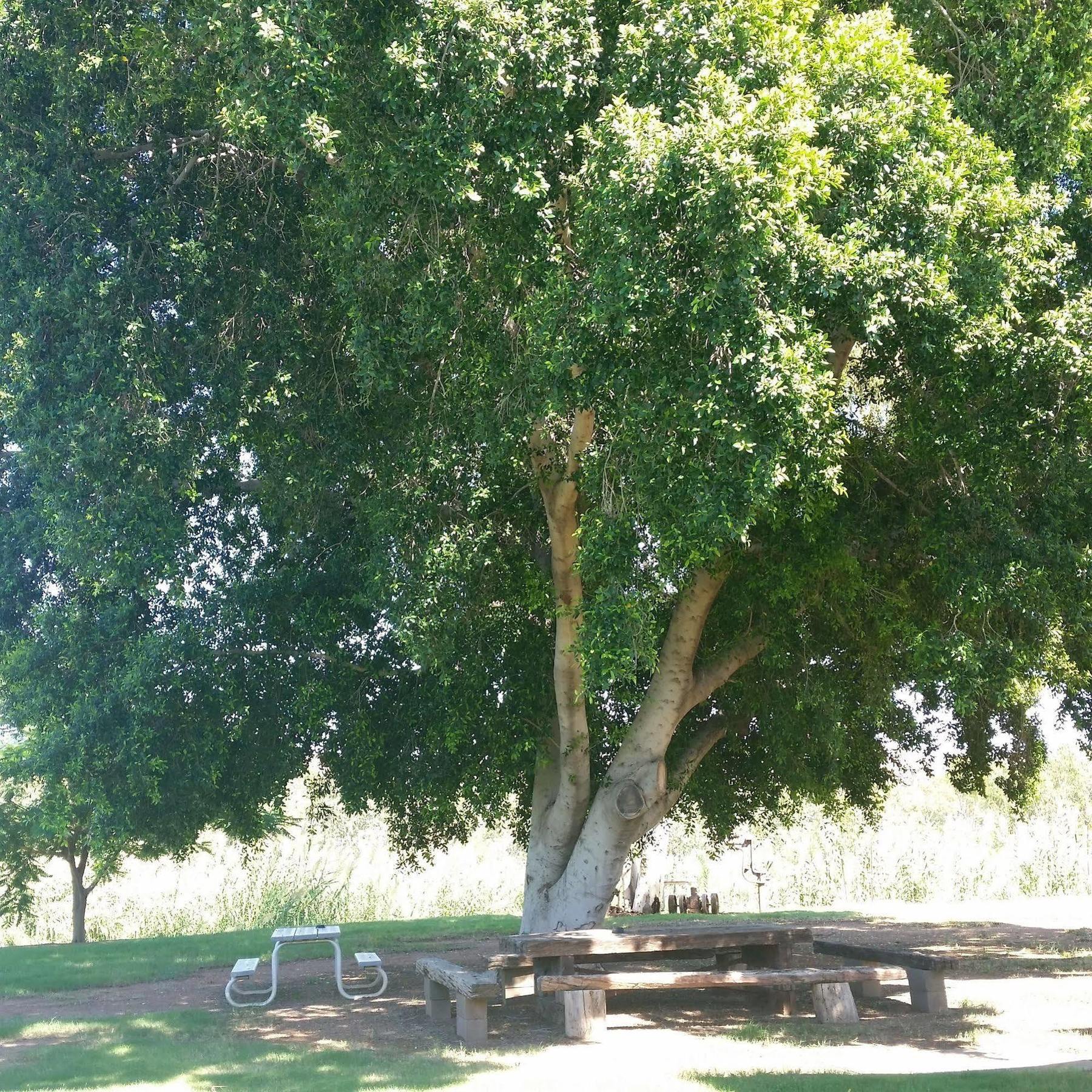 Leichhardt Accommodation Mount Isa Bagian luar foto